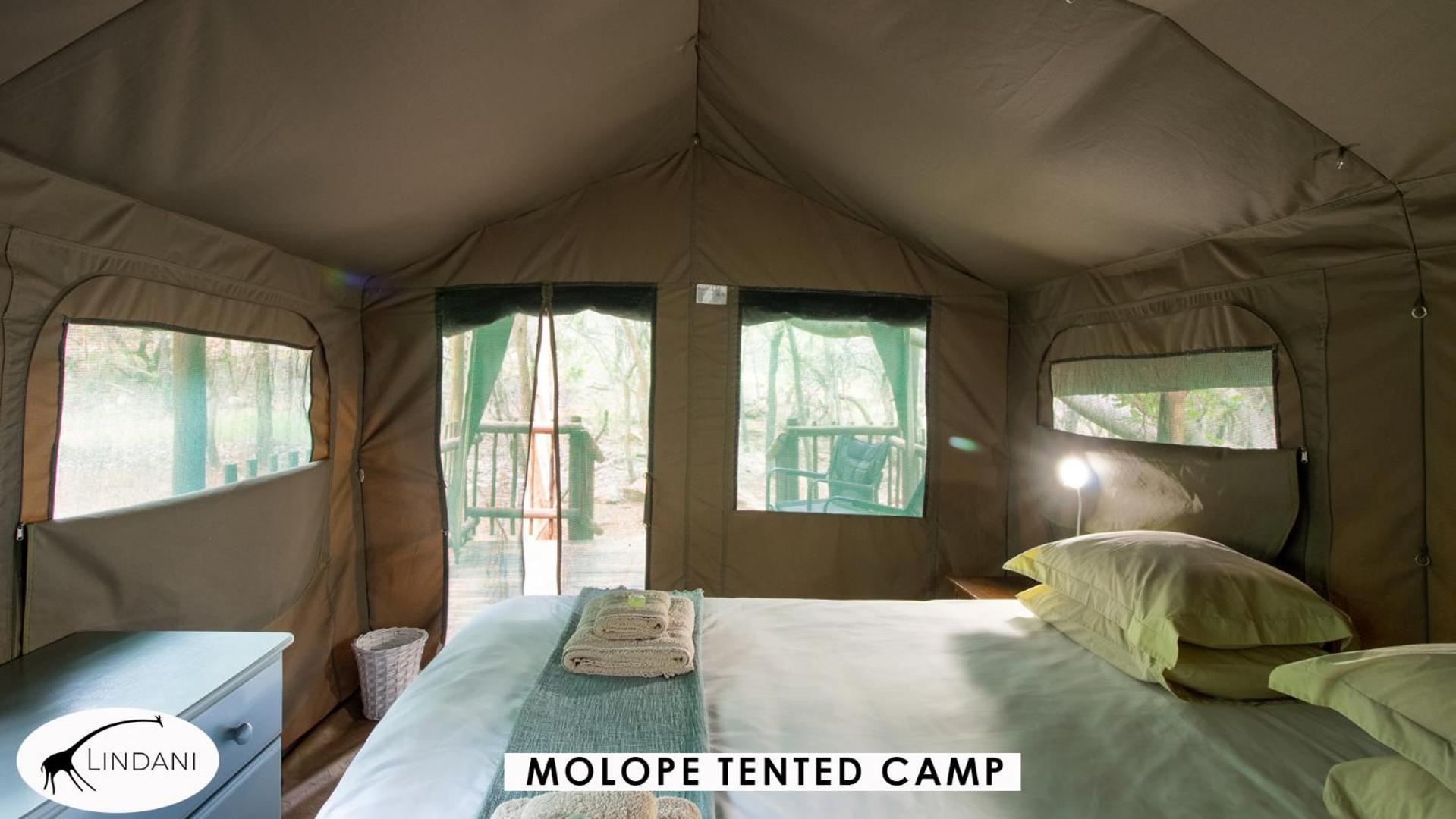 Lindani Game And Lodges Vaalwater Exteriér fotografie